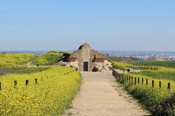 Visita al Dolmen de Valencina (9 abril 25)