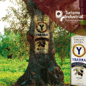 VISITA A LA FÁBRICA DE YBARRA (20 ene 26)