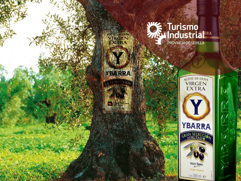 Ybarra 2 Mili Cervera